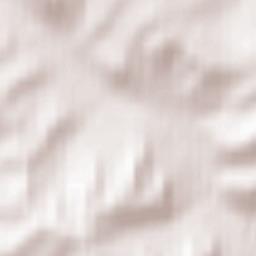 Shilkinskiy Rayon Terrain Map