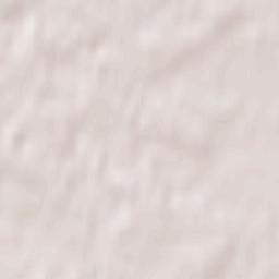 Puszcza Mariańska Terrain Map