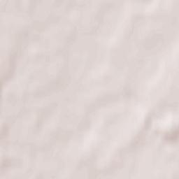 Sinodskoye Terrain Map