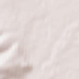 Anton’yevka Terrain Map