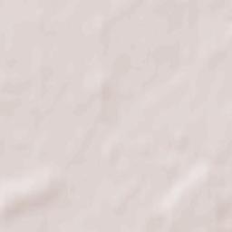 Broniszewice Terrain Map