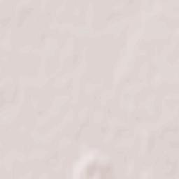 Powiat skierniewicki Terrain Map