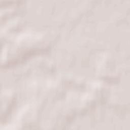 Rzeczyca Terrain Map