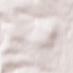 Altayskoye Terrain Map