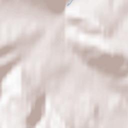 Delligsen Terrain Map