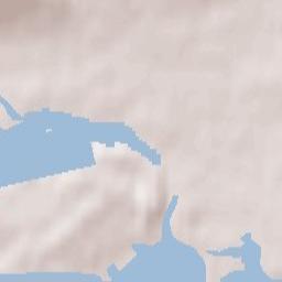 Carrigtwohill Terrain Map