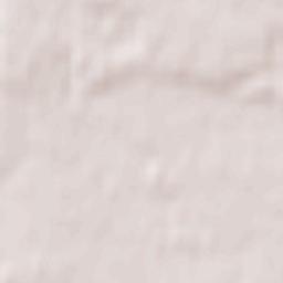 Powiat zgierski Terrain Map