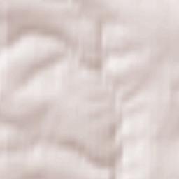 Westfield Terrain Map