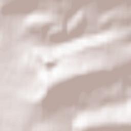 Schieder-Schwalenberg Terrain Map