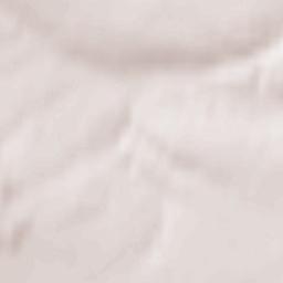 Cochstedt Terrain Map