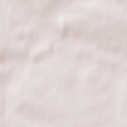 Miastków Kościelny Terrain Map