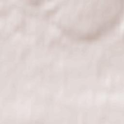 Perevolotskiy Terrain Map