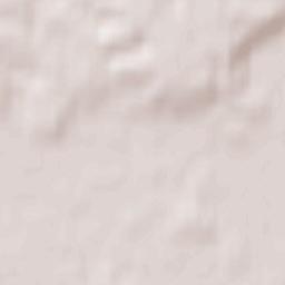 Powiat nowosolski Terrain Map