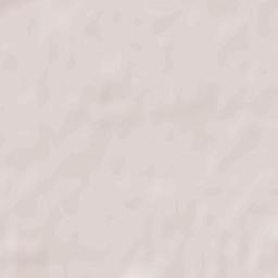 Powiat leszczyński Terrain Map