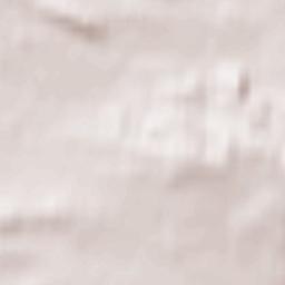 Westerhausen Terrain Map