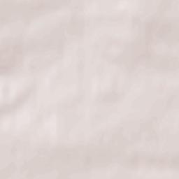 Brzeziny Terrain Map