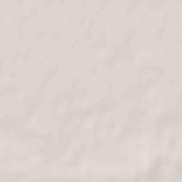 Radzyń Podlaski Terrain Map