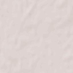 Wisznice Terrain Map