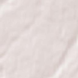 Tsiolkovskiy Terrain Map