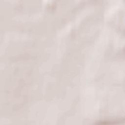 Plötzkau Terrain Map