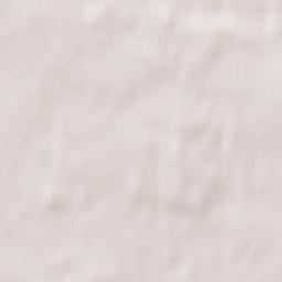 Lutomiersk Terrain Map