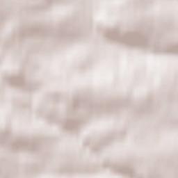 Braunlage Terrain Map