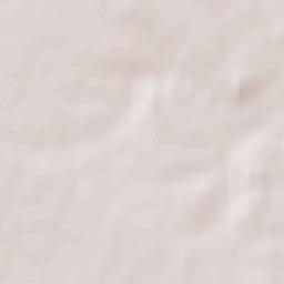 Żelechlinek Terrain Map