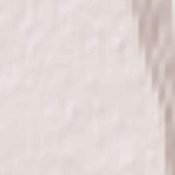 Ekibastuz Terrain Map