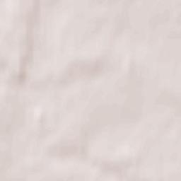 Berkeley Terrain Map