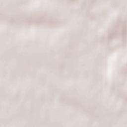 Mogielnica Terrain Map