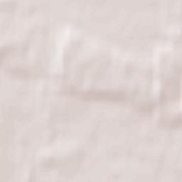 Czemierniki Terrain Map