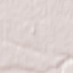 Didsbury Terrain Map