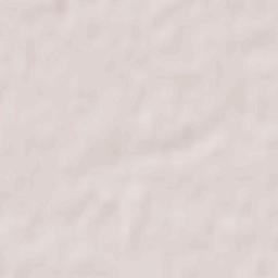 Foam Lake Terrain Map