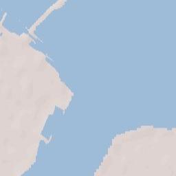 Bruinisse Terrain Map