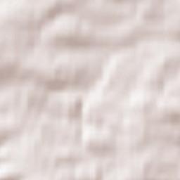 Benneckenstein Terrain Map