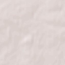 Pabianice Terrain Map