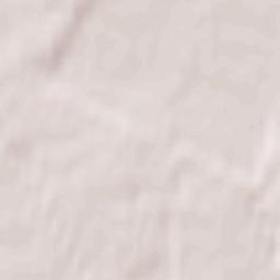 Budziszewice Terrain Map