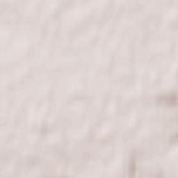 Voronezh Terrain Map