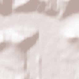 Soloneshnoye Terrain Map