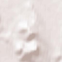 Nikolayevskiy Terrain Map