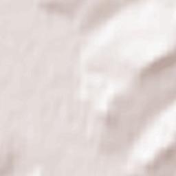 Shelopugino Terrain Map