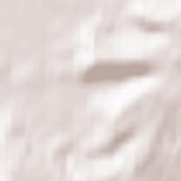 Watlington Terrain Map