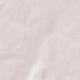 Powiat tomaszowski Terrain Map