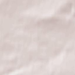 Borgentreich Terrain Map