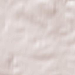 Wallwitz Terrain Map