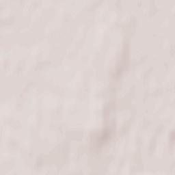 Dubrovytsya Terrain Map