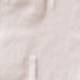 Ryl’sk Terrain Map