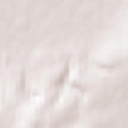 Bishopstone Terrain Map