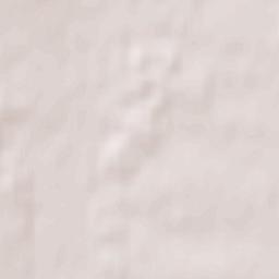 Powiat łaski Terrain Map