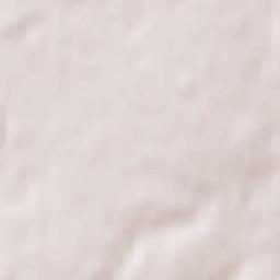 Krolevets’ Terrain Map